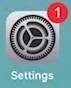 IPad settings icon.jpg