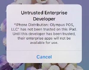 Untrusted warning.jpg